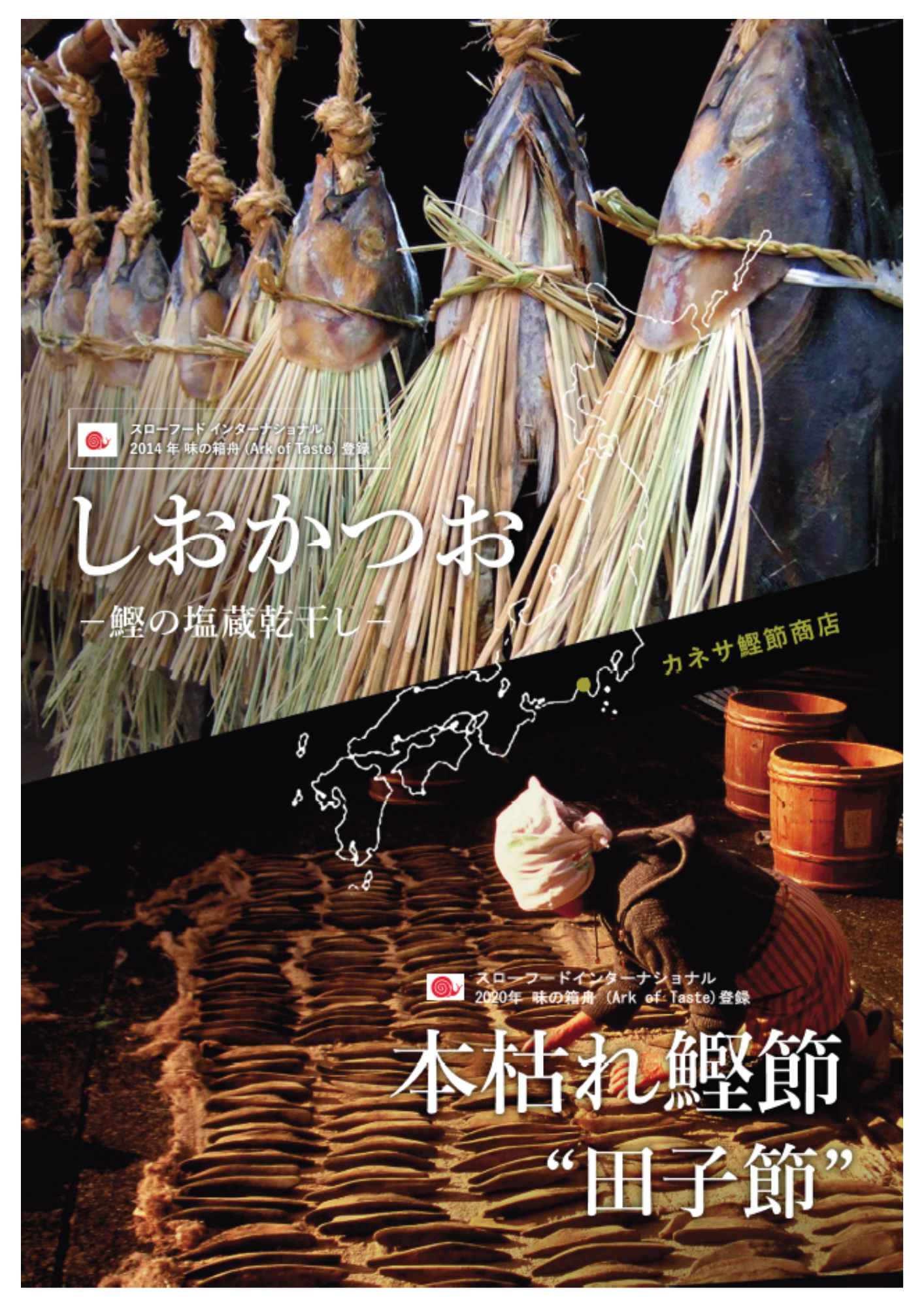 【特別フォーラム】西伊豆田子地区のカツオ文化　Zoom